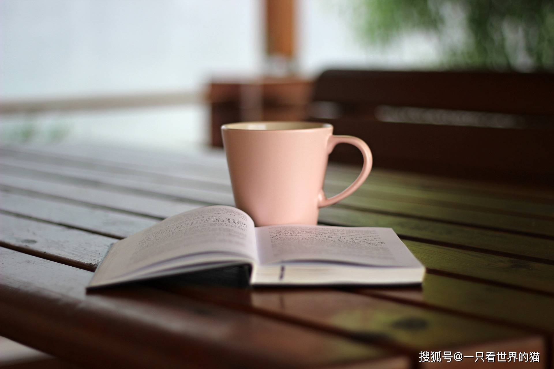 6686体育休闲体育是学什么的(图3)