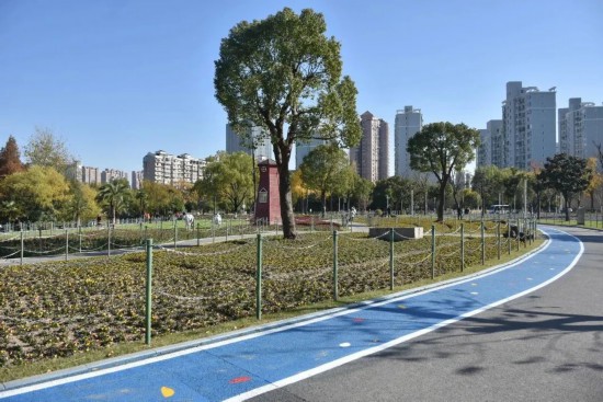 6686体育平台体重管理怎么做？上海春季绿色运动指南请收好(图3)