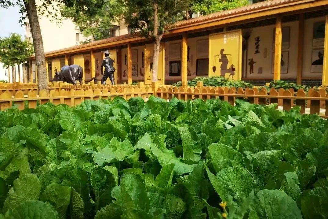 春天大脑发展最好的营养剂第一是运动第二个你想不到…6686体育入口(图1)