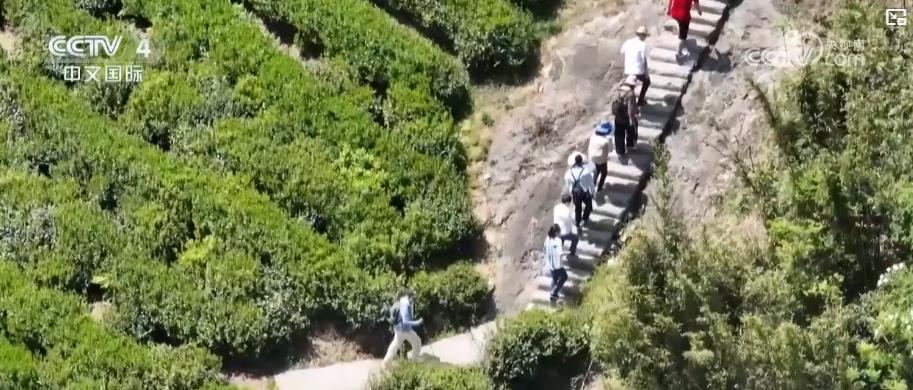 户外运动产业迎规模化发展 消费扩容激活新经济增长点(图3)